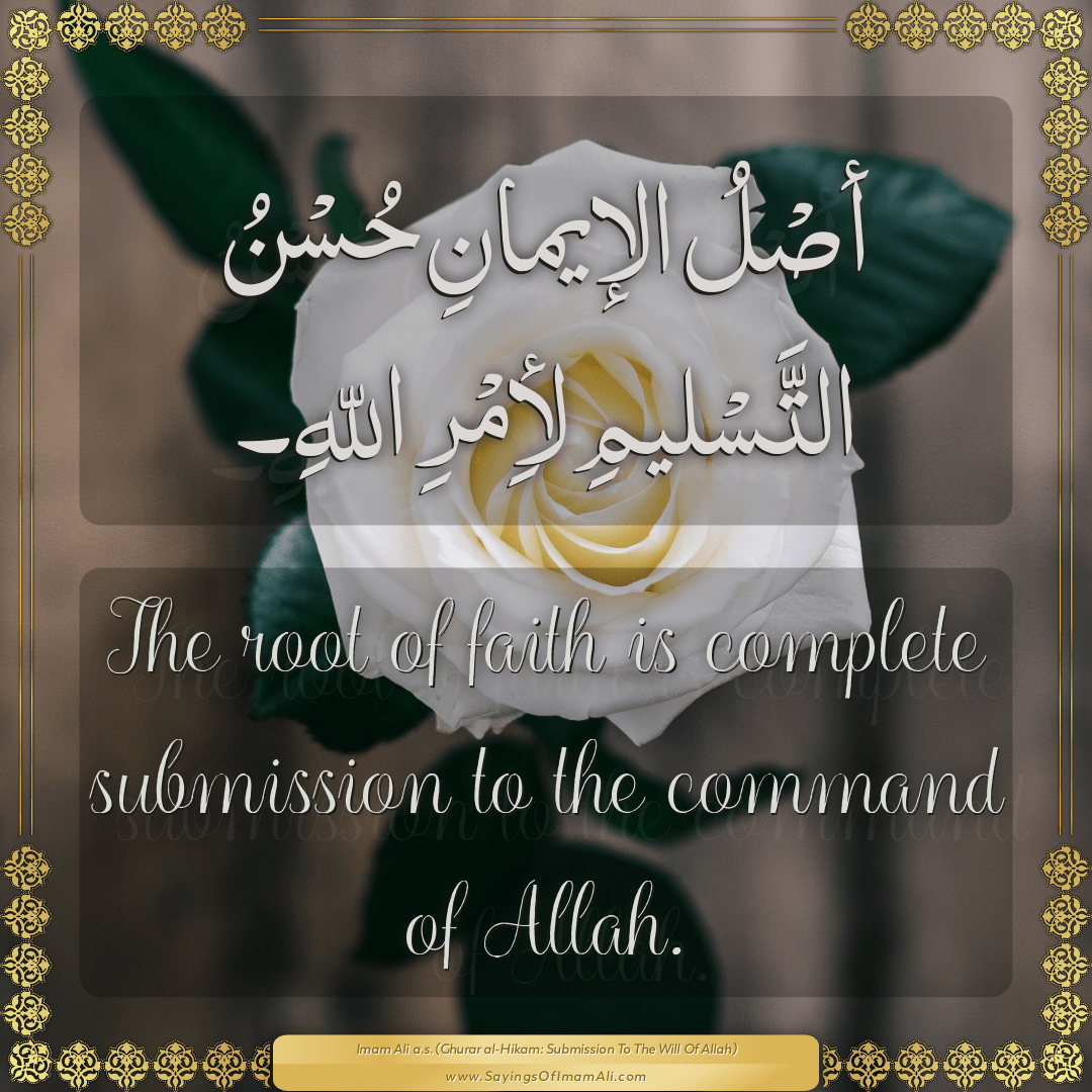 The root of faith is complete submission to the command of Allah.